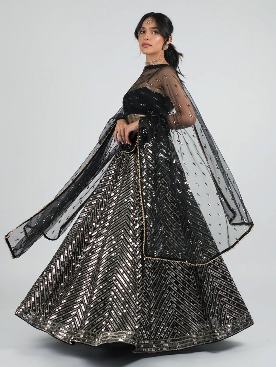 Moonlit Elegance in Zari – Midnight Lehenga Set