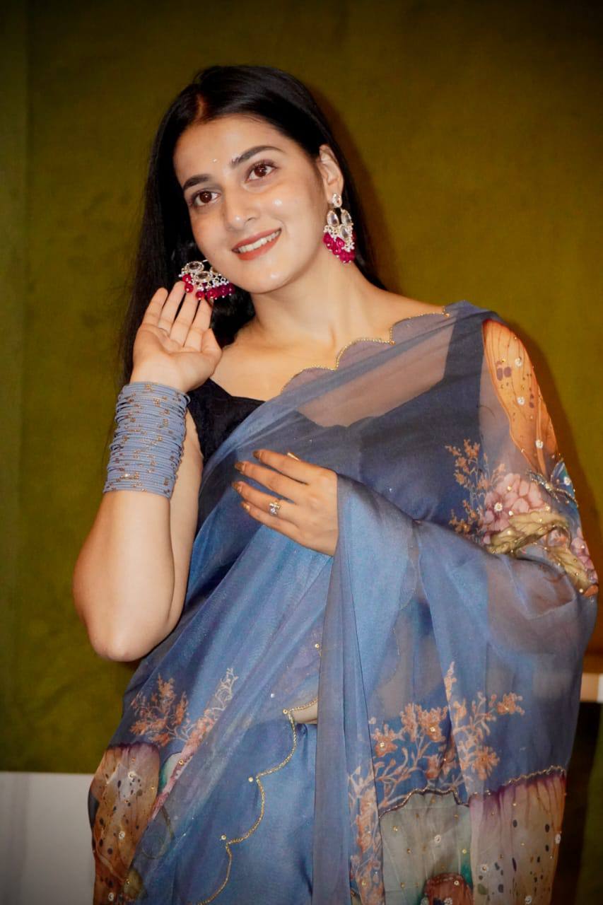 Butterfly Print Sky Blue Color Decent Saree